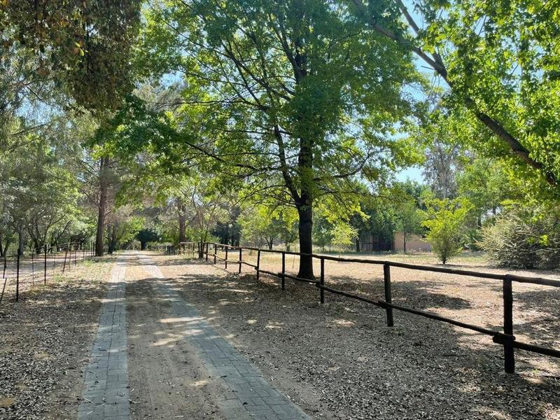 4 Bedroom Property for Sale in Mullersrust Free State